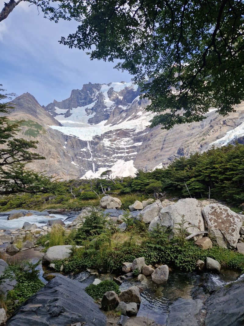 Dans la vallée du Français, un torrent glaciaire court entre les rochers au pied du glacier suspendu du Paine Grande, sous des branches qui encadrent la vue.